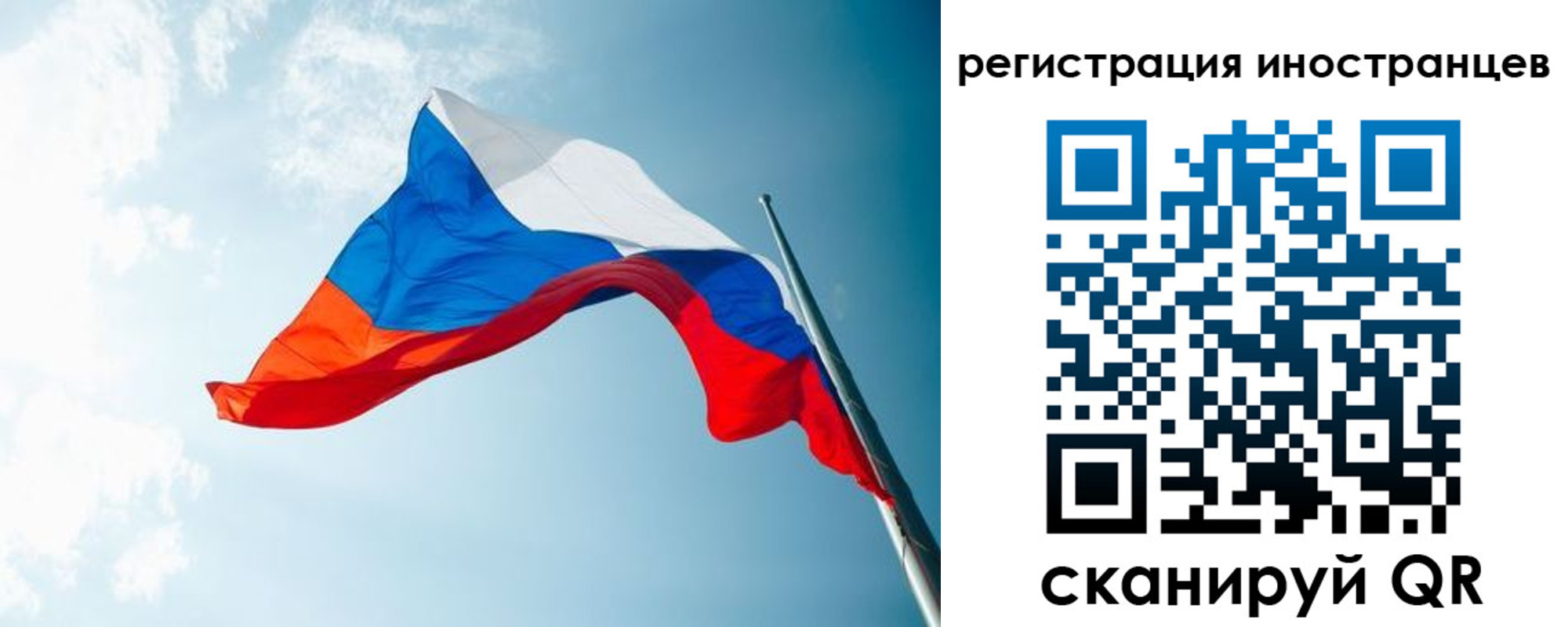 прописка для работы в Нелидово