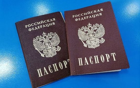 прописка в Нелидово
